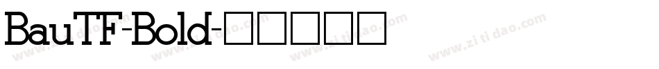 BauTF-Bold字体转换