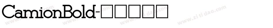 CamionBold字体转换
