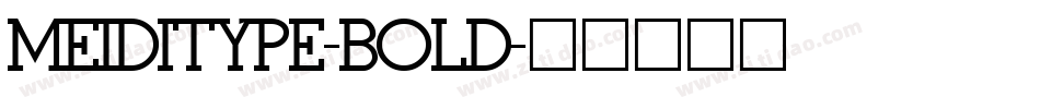 MEIDITYPE-BOLD字体转换