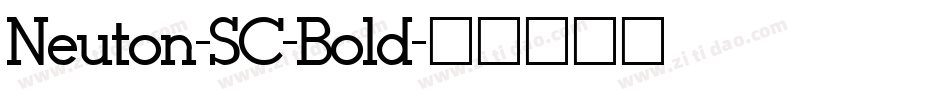 Neuton-SC-Bold字体转换