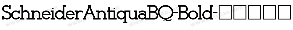 SchneiderAntiquaBQ-Bold字体转换