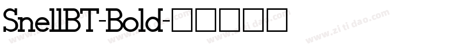 SnellBT-Bold字体转换