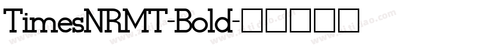 TimesNRMT-Bold字体转换