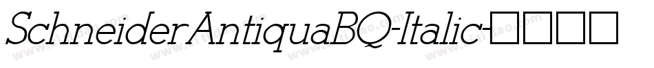SchneiderAntiquaBQ-Italic字体转换