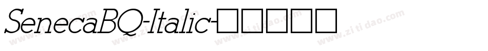 SenecaBQ-Italic字体转换
