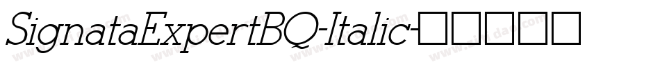 SignataExpertBQ-Italic字体转换