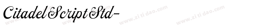 CitadelScriptStd字体转换