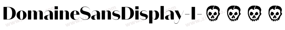 DomaineSansDisplay-I字体转换