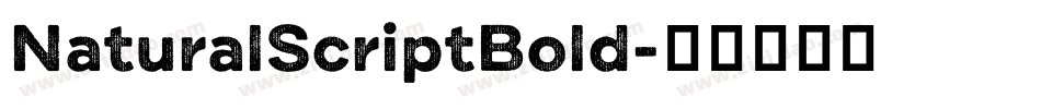NaturalScriptBold字体转换