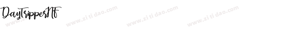 DayTripperNF字体转换