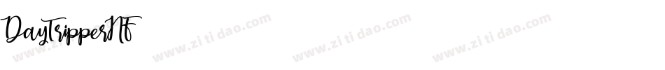 DayTripperNF字体转换