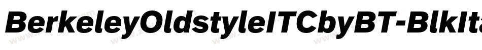 BerkeleyOldstyleITCbyBT-BlkItal字体转换