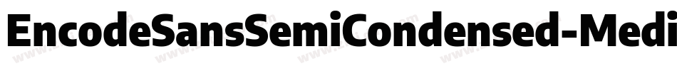 EncodeSansSemiCondensed-Medium字体转换