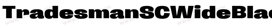 TradesmanSCWideBlack字体转换