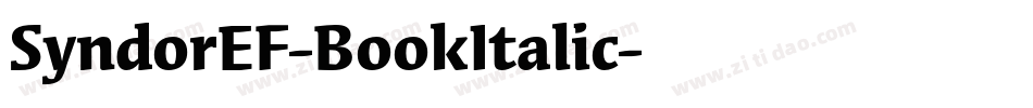 SyndorEF-BookItalic字体转换