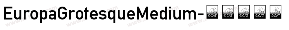 EuropaGrotesqueMedium字体转换