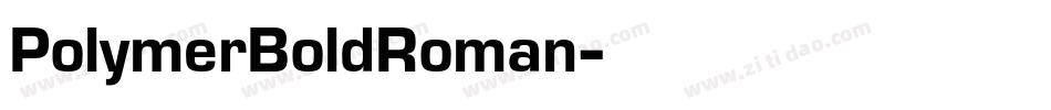 PolymerBoldRoman字体转换
