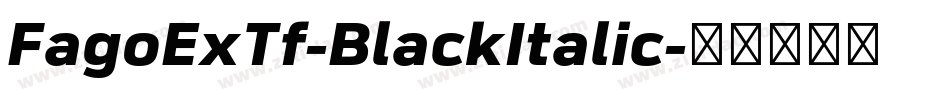 FagoExTf-BlackItalic字体转换