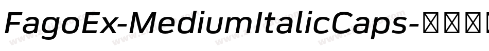 FagoEx-MediumItalicCaps字体转换