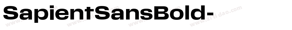 SapientSansBold字体转换
