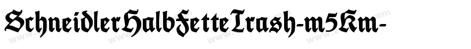 SchneidlerHalbFetteTrash-m5Km字体转换
