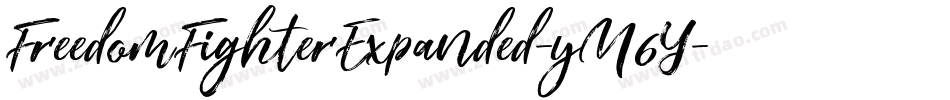 FreedomFighterExpanded-yM6Y字体转换