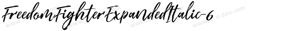 FreedomFighterExpandedItalic-6KXY字体转换