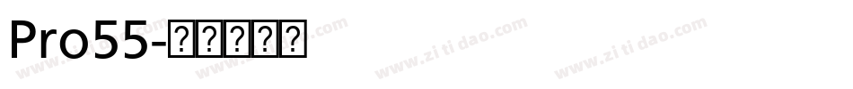 Pro55字体转换