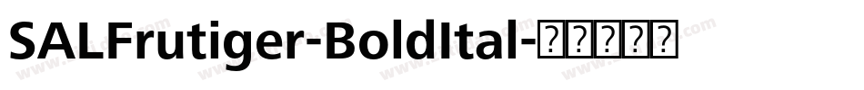 SALFrutiger-BoldItal字体转换
