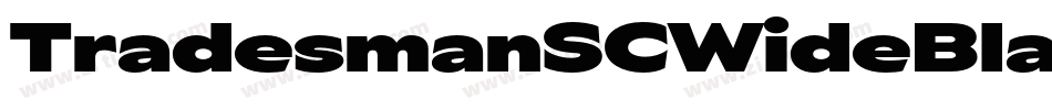 TradesmanSCWideBlack字体转换