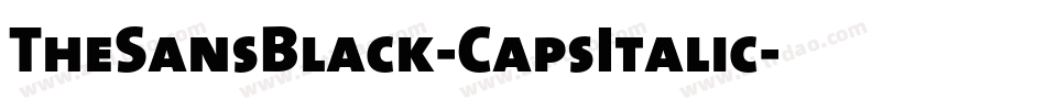 TheSansBlack-CapsItalic字体转换