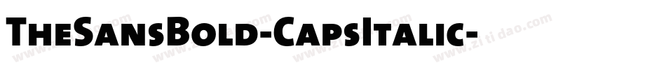 TheSansBold-CapsItalic字体转换