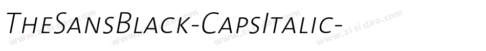 TheSansBlack-CapsItalic字体转换