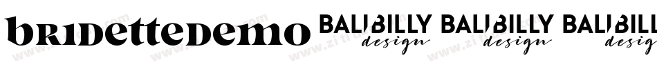 BridetteDemo字体转换