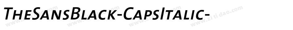 TheSansBlack-CapsItalic字体转换