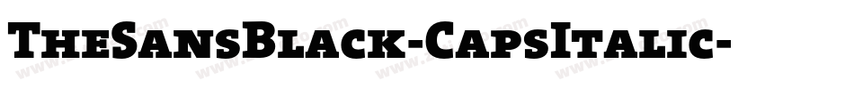 TheSansBlack-CapsItalic字体转换