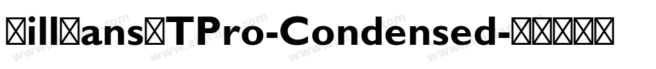 GillSansMTPro-Condensed字体转换