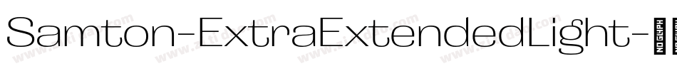 Samton-ExtraExtendedLight字体转换