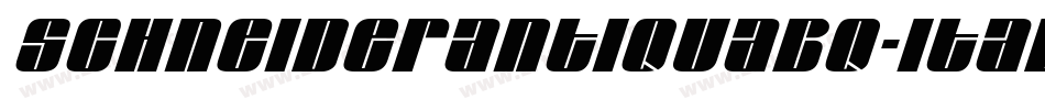 SchneiderAntiquaBQ-Italic字体转换