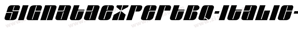 SignataExpertBQ-Italic字体转换