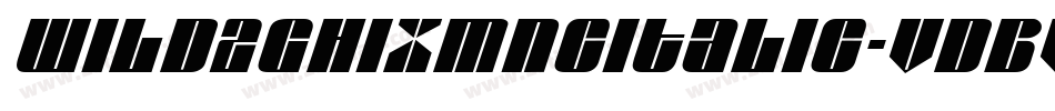 Wild2ghixmncItalic-VdBV字体转换