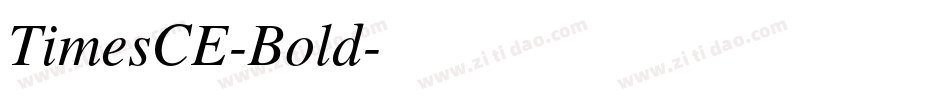 TimesCE-Bold字体转换