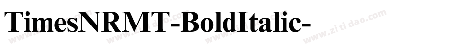 TimesNRMT-BoldItalic字体转换