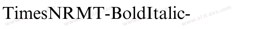 TimesNRMT-BoldItalic字体转换