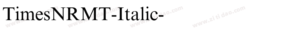TimesNRMT-Italic字体转换