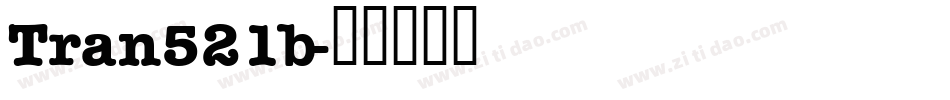 Tran521b字体转换