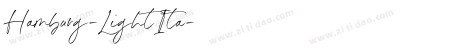 Hamburg-LightIta字体转换