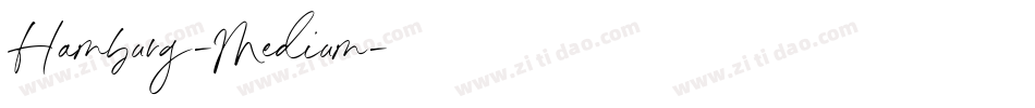 Hamburg-Medium字体转换