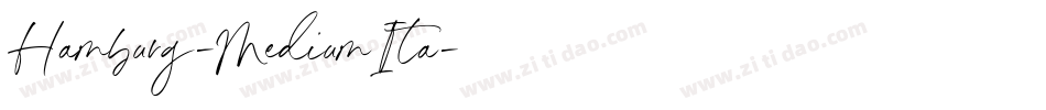 Hamburg-MediumIta字体转换