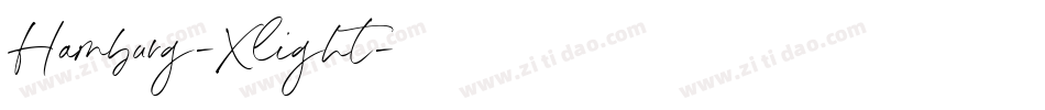 Hamburg-Xlight字体转换